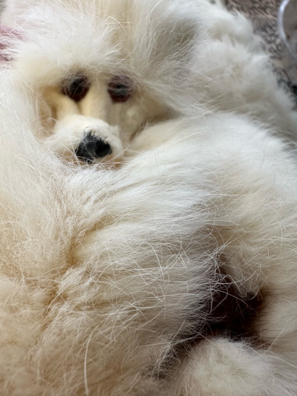 Vintage White Rabbit Plush Fur Muff, Collar & Hat Set